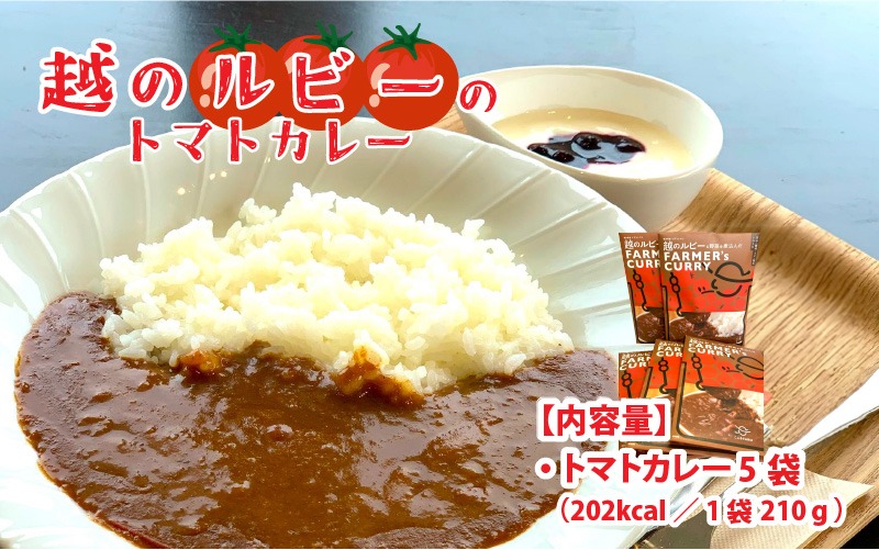 絶品！野菜のコクとうまみ 越のルビー トマト カレー 210g（袋入り）×5袋