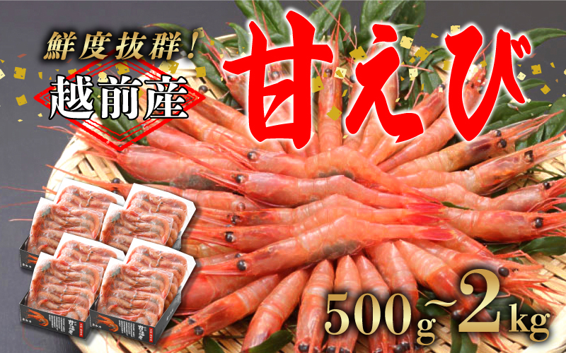 【選べる容量！】【小分け】越前産冷凍甘えび 500g / 1.0kg / 1.5kg / 2.0kg
