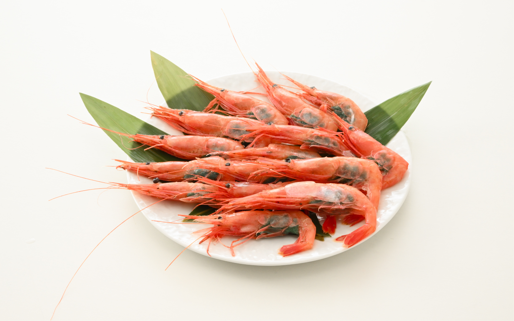 ちょっと贅沢に、 <br>でもさっと食べられる<br> 福井の海のごちそう