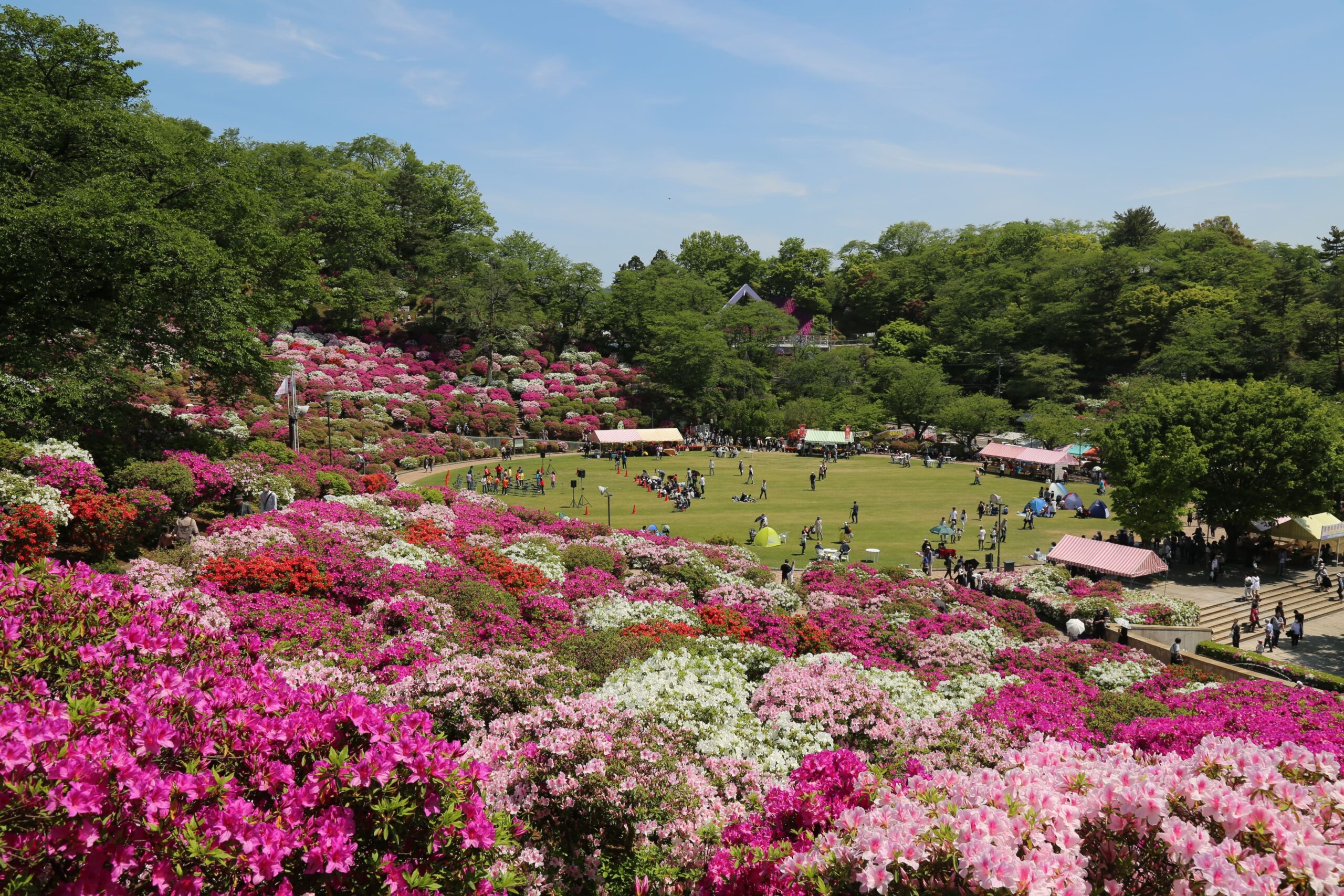 6570_西山公園　　　　　　　　　　　